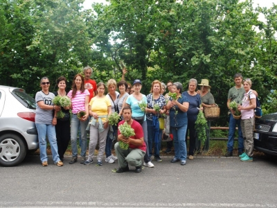 Sinagra - Passeggiata ecologica alla riscoperta di antichi sapori - Fragoline di bosco e origano    La Pro Loco di Sinagra, giorno 18 giugno 2017, ha organizzato una passeggiata ecologica alle riscoperta di antichi sapori e tradizioni. I numerosi p